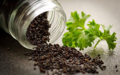 Declaration Cartier: una fragranza legnosa, aromatica e speziata di Jean Claude Ellena