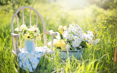 Jardins de Bagatelle Guerlain: una sinfonia di fiori bianchi